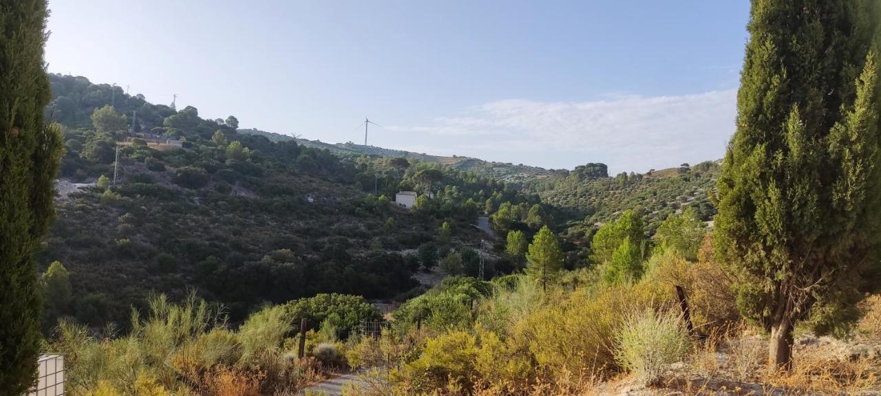 Casas Rurales Las Vinas オスナ エクステリア 写真